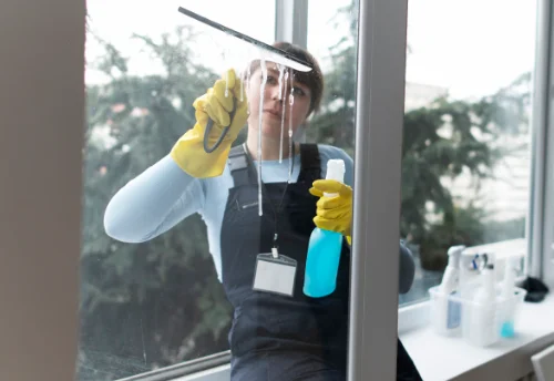 Nettoyage de vitres intérieures et extérieures à Coulon